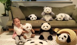 最新宠物爆料视频下载,视频下载背后的精彩瞬间