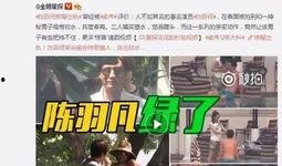 虎门爆料邓秋莹视频播放,虎门爆料视频背后的真相与争议