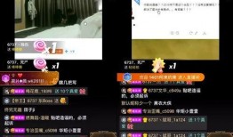 小洲被人爆料视频大全集,揭秘背后真相与争议